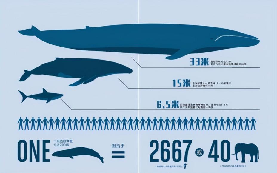 蓝鲸有多大有多重(地球上有史以来最大的生物是什么)