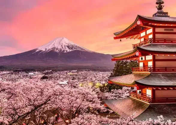 富士山 美景