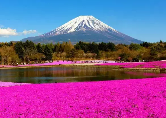 富士山 美景