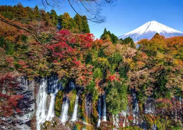 富士山 美景