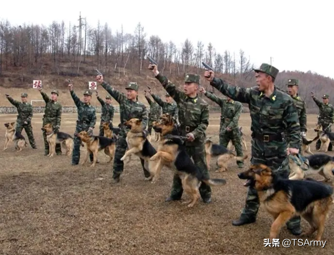 朝鲜人民军士兵武器图鉴（朝鲜各式作战枪械盘点）