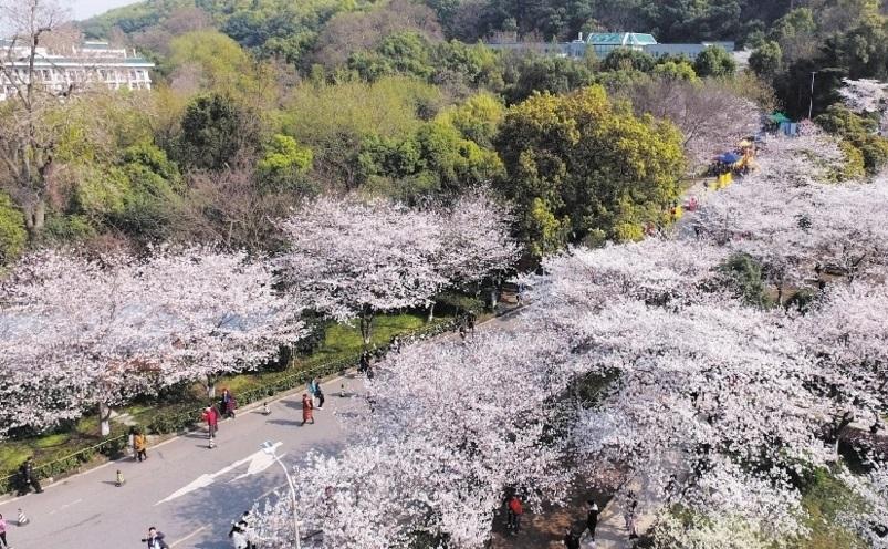 武汉旅游必玩的景点（武汉十大景区介绍）