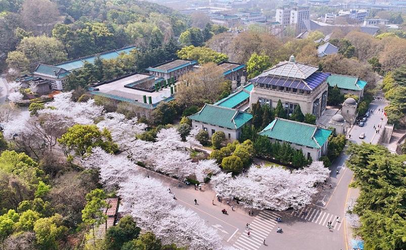 武汉旅游必玩的景点（武汉十大景区介绍）