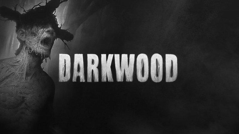 阴暗森林好不好玩（《Darkwood》新人入坑攻略）