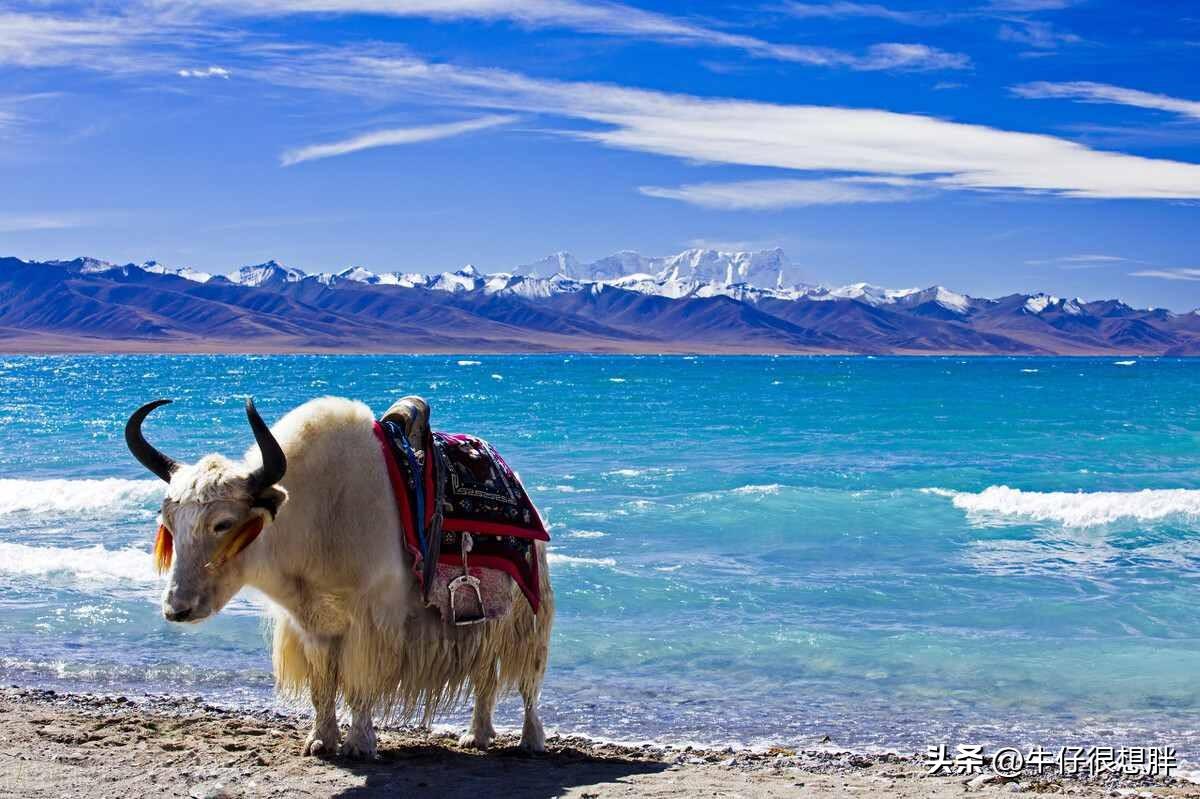 世界经典旅游景点大全（国内外景点最佳旅行时间汇总）