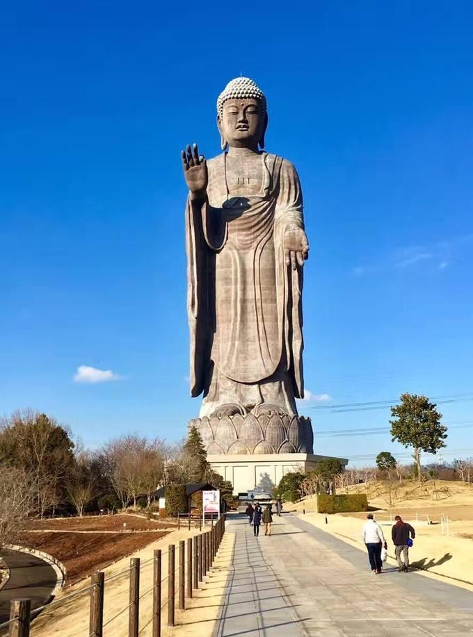 世界十大最高佛像排名(世界上最高的大佛) 