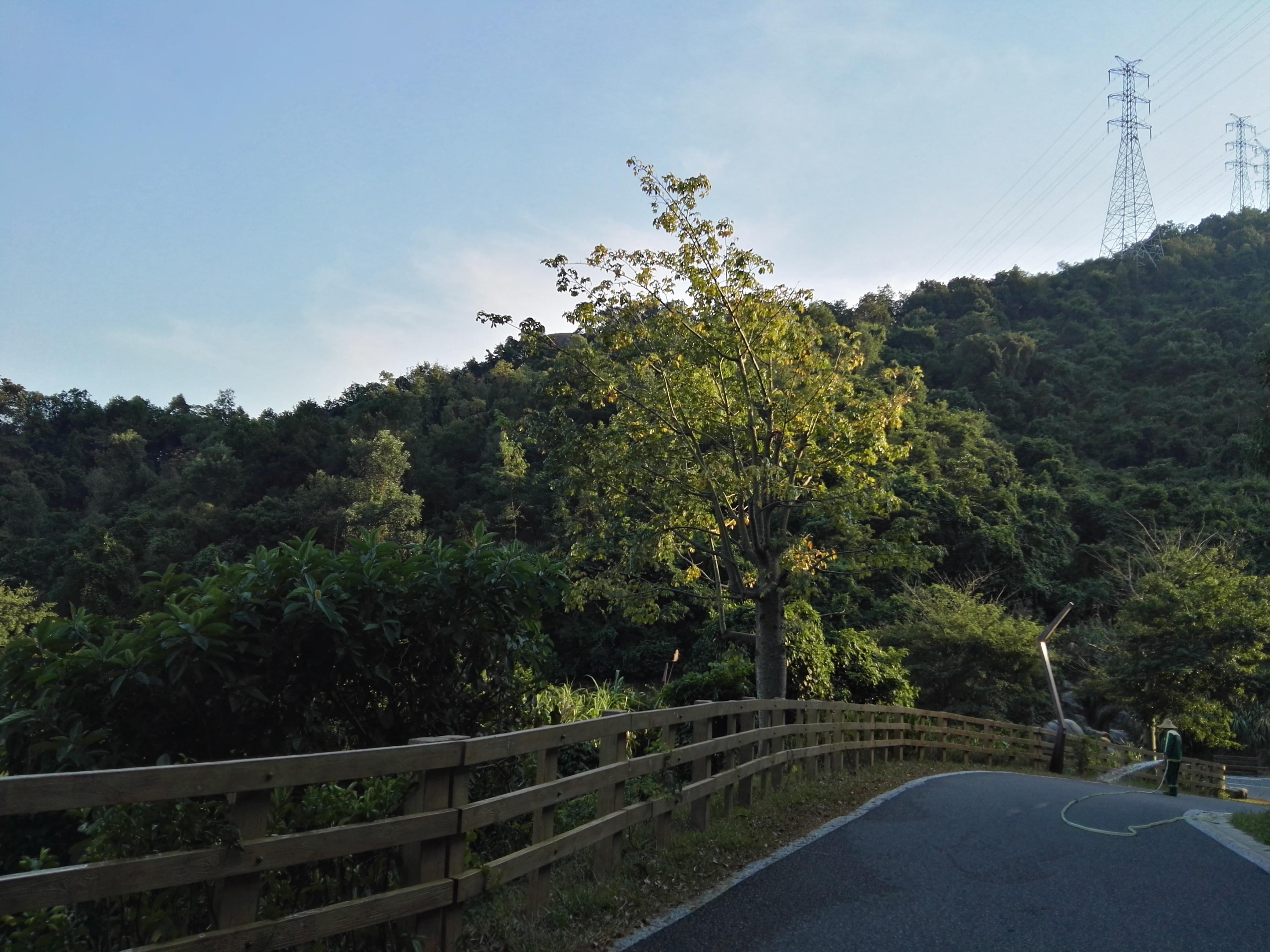 深圳羊台山自然风景区图片