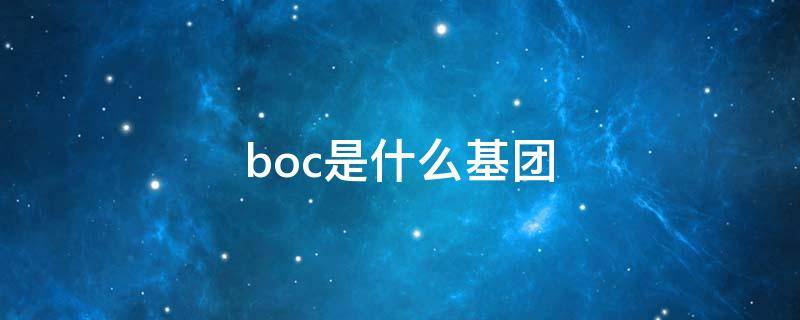 boc是什么基团