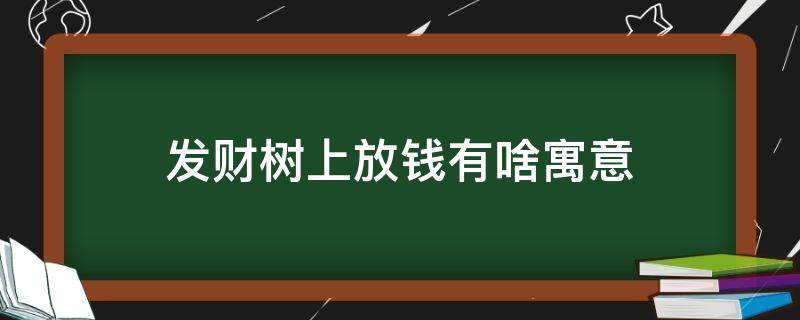 发财树上放钱有啥寓意