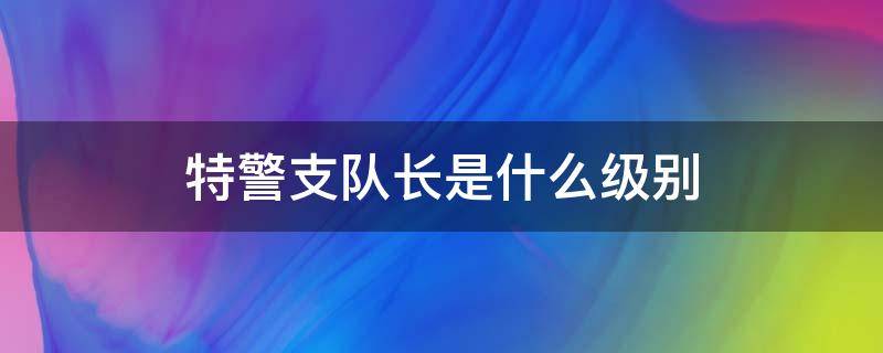 特警支队长是什么级别