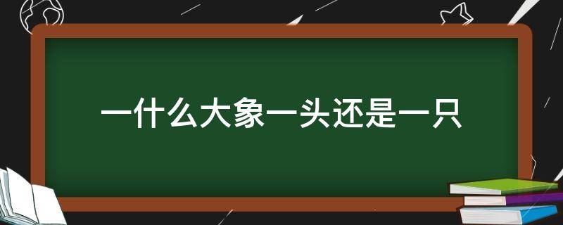 一什么大象一头还是一只