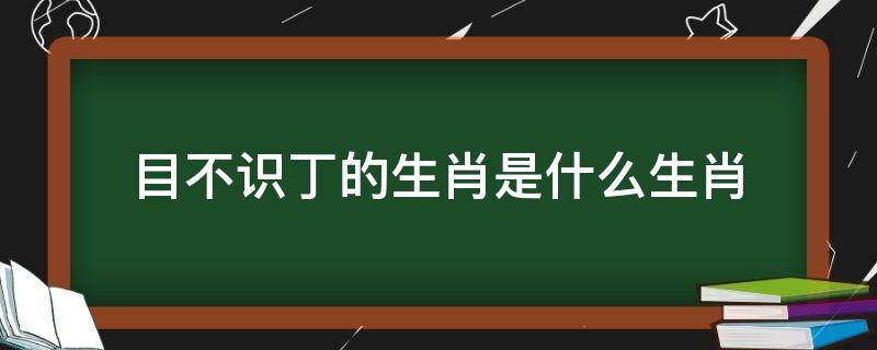 目不识丁的生肖是什么生肖