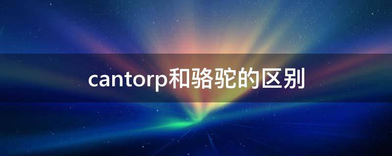 cantorp和骆驼的区别