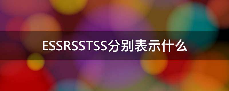 ESSRSSTSS分别表示什么