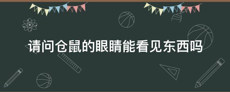 请问仓鼠的眼睛能看见东西吗