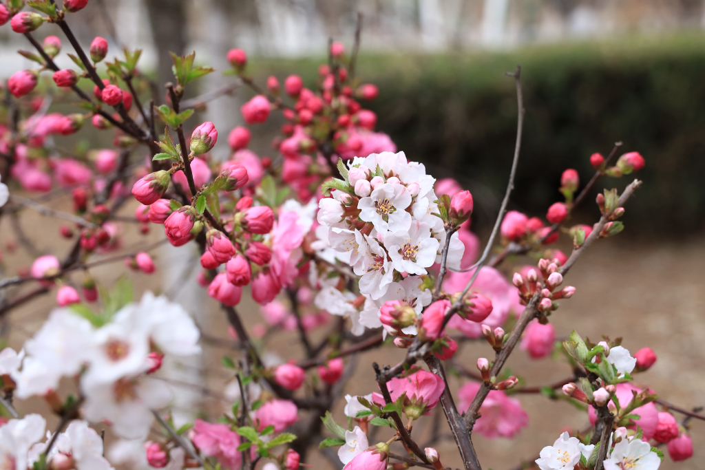 蜂蜜能带上火车吗