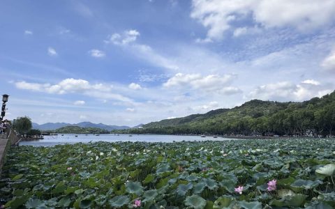 栀子花是什么时候开花(栀子花是啥时候开)