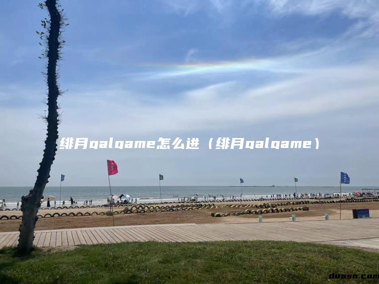 绯月galgame怎么进（绯月galgame）