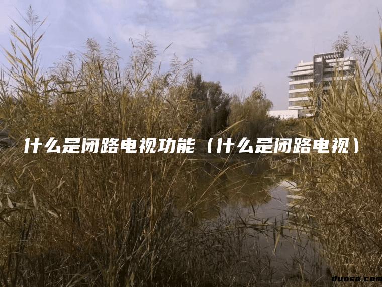 什么是闭路电视功能（什么是闭路电视）