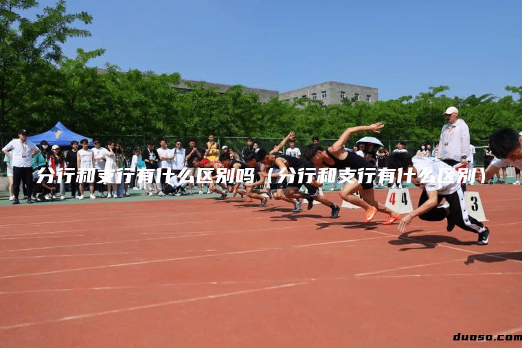 分行和支行有什么区别吗（分行和支行有什么区别）