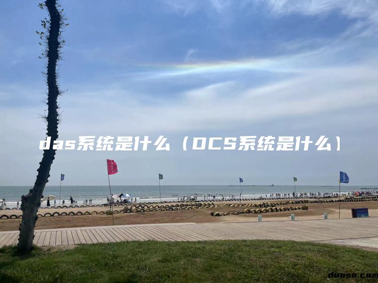 das系统是什么（DCS系统是什么）