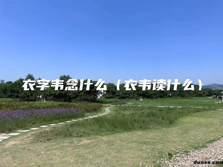 衣字韦念什么（衣韦读什么）