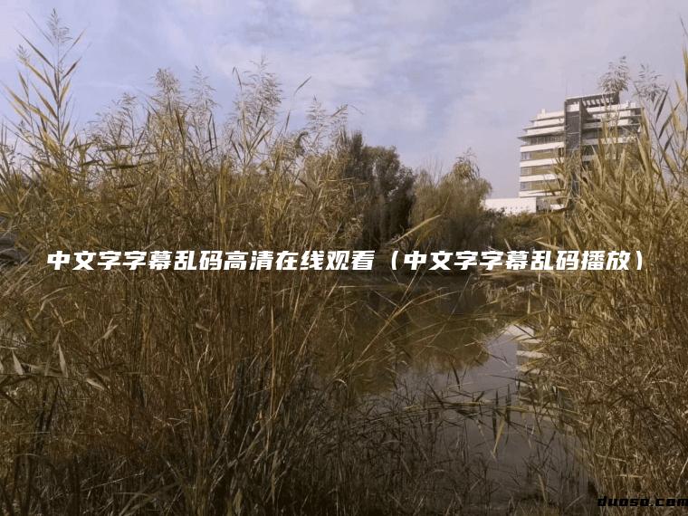 中文字字幕乱码高清在线观看（中文字字幕乱码播放）