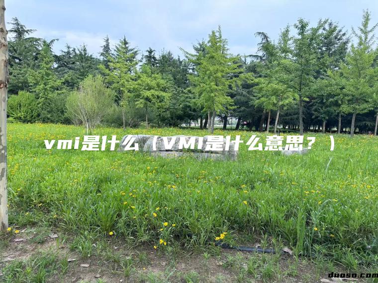 vmi是什么（VMI是什么意思？）