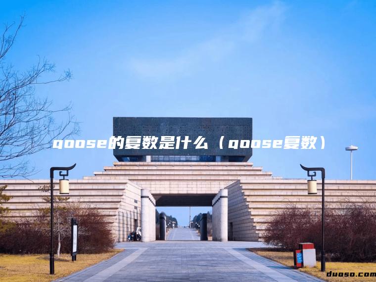 goose的复数是什么（goose复数）