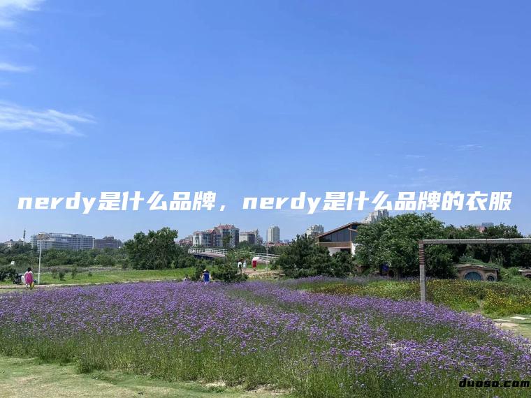 nerdy是什么品牌，nerdy是什么品牌的衣服