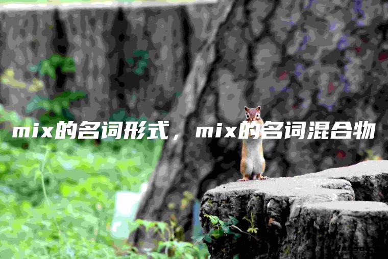 mix的名词形式，mix的名词混合物