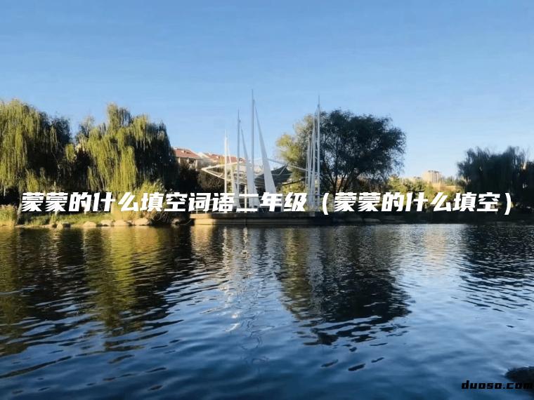 蒙蒙的什么填空词语二年级（蒙蒙的什么填空）