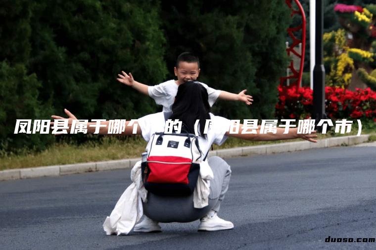 凤阳县属于哪个市的（凤阳县属于哪个市）