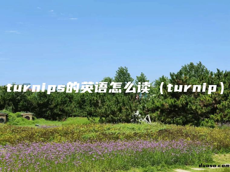 turnips的英语怎么读（turnip）