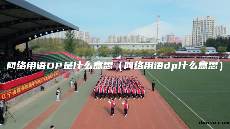 网络用语DP是什么意思（网络用语dp什么意思）