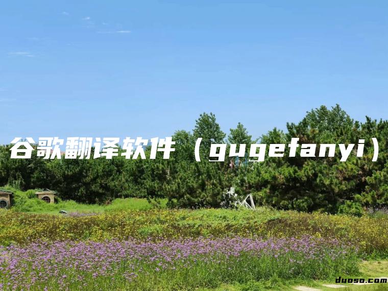 谷歌翻译软件（gugefanyi）