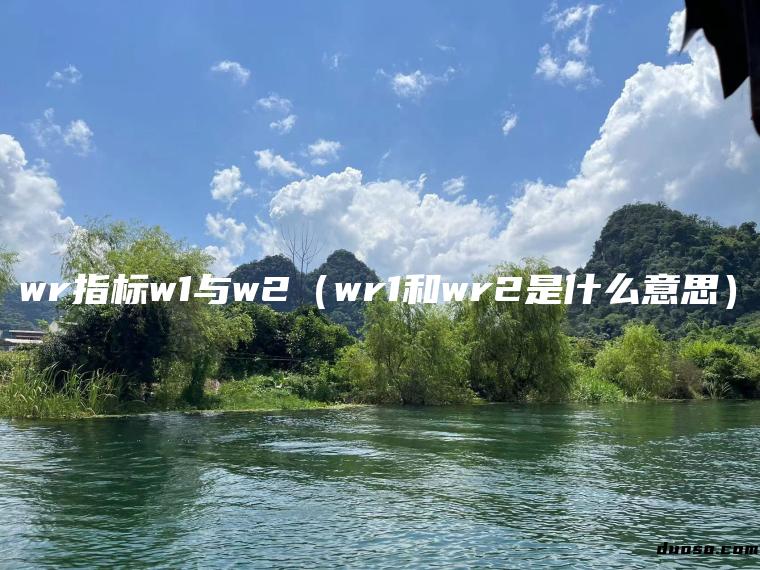 wr指标w1与w2（wr1和wr2是什么意思）