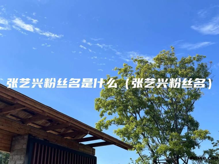 张艺兴粉丝名是什么（张艺兴粉丝名）