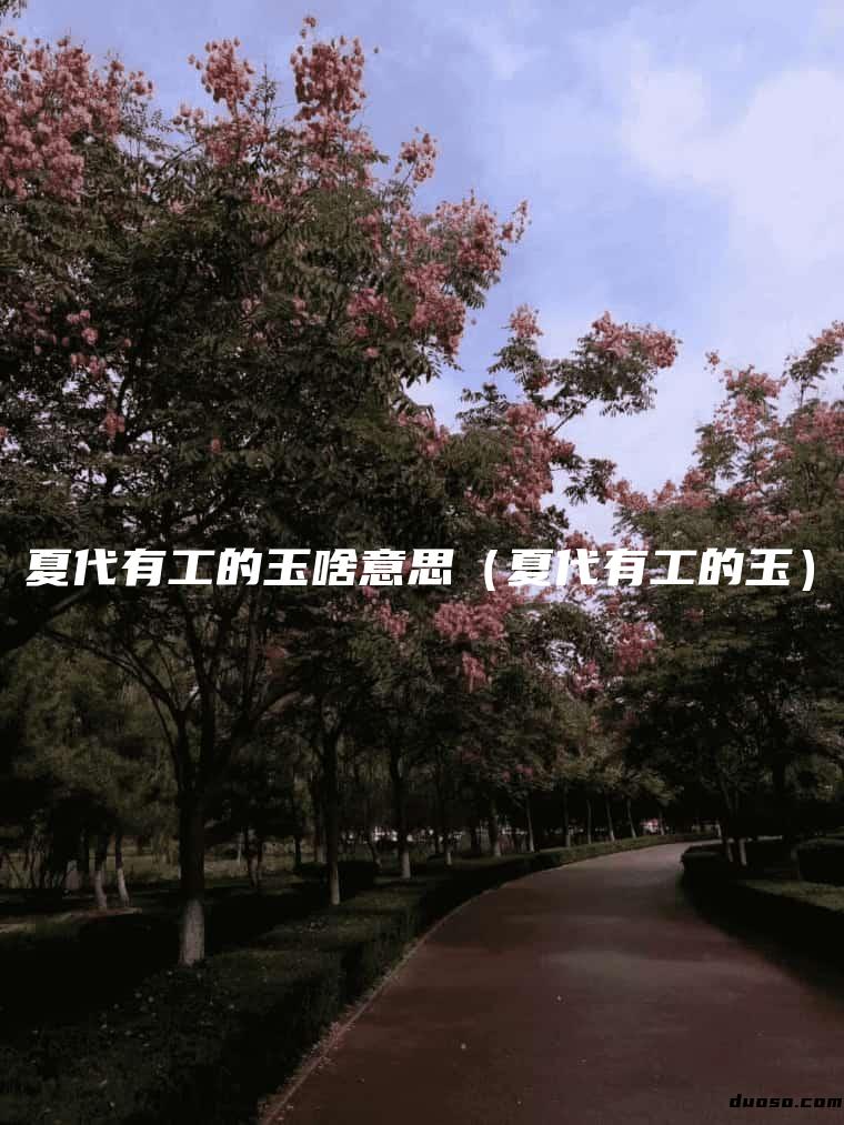 夏代有工的玉啥意思（夏代有工的玉）