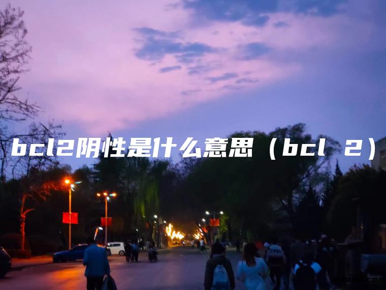 bcl2阴性是什么意思（bcl 2）