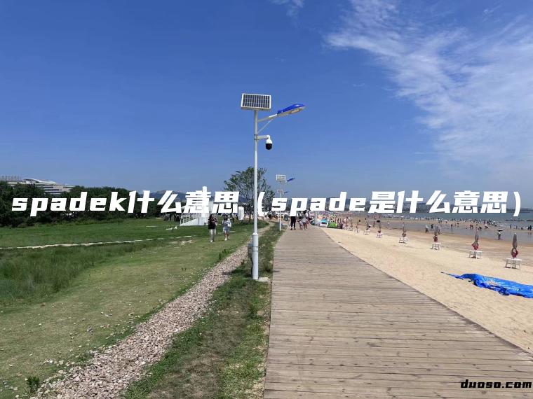 spadek什么意思（spade是什么意思）