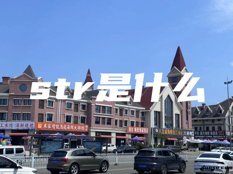 str是什么