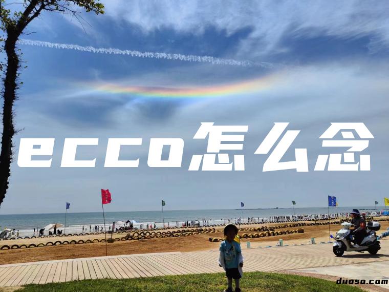 ecco怎么念