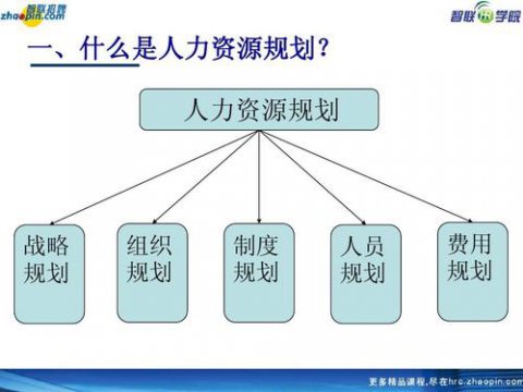 人力资源是做什么工作的